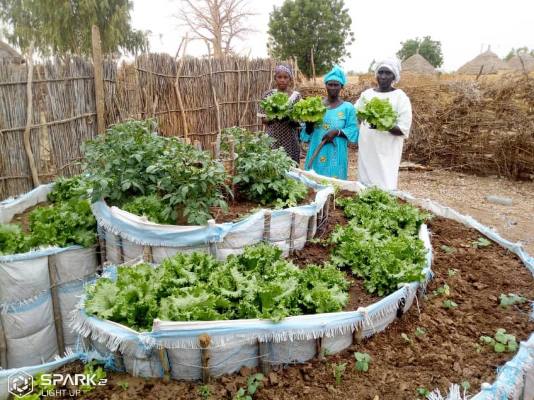 Goma: l’agriculture dans les ménages, une des pistes pour lutter contre l’insécurité alimentaire